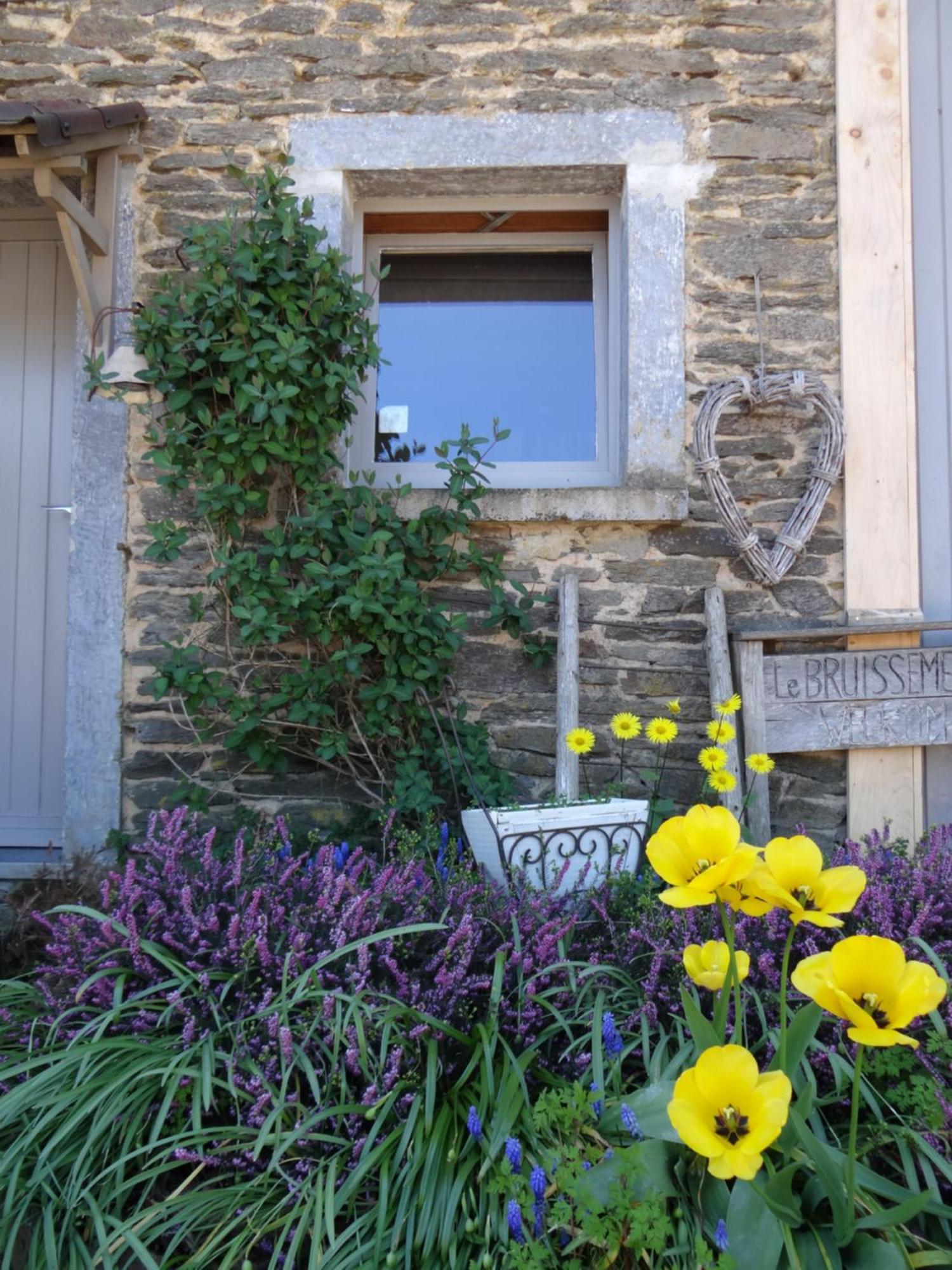 B&B Le Bruissement Bièvre Exteriör bild